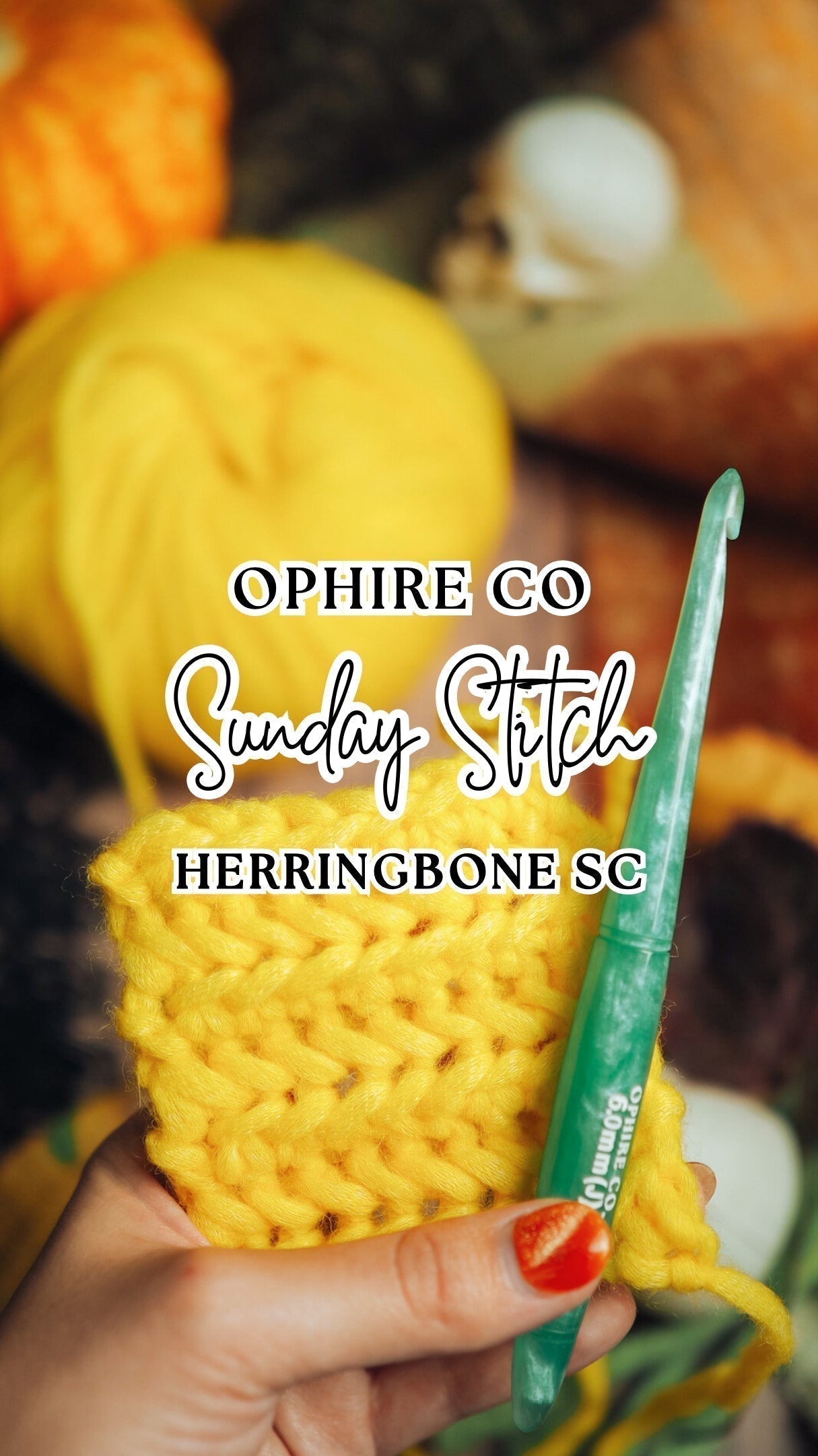 Herringbone Single Crochet Pattern