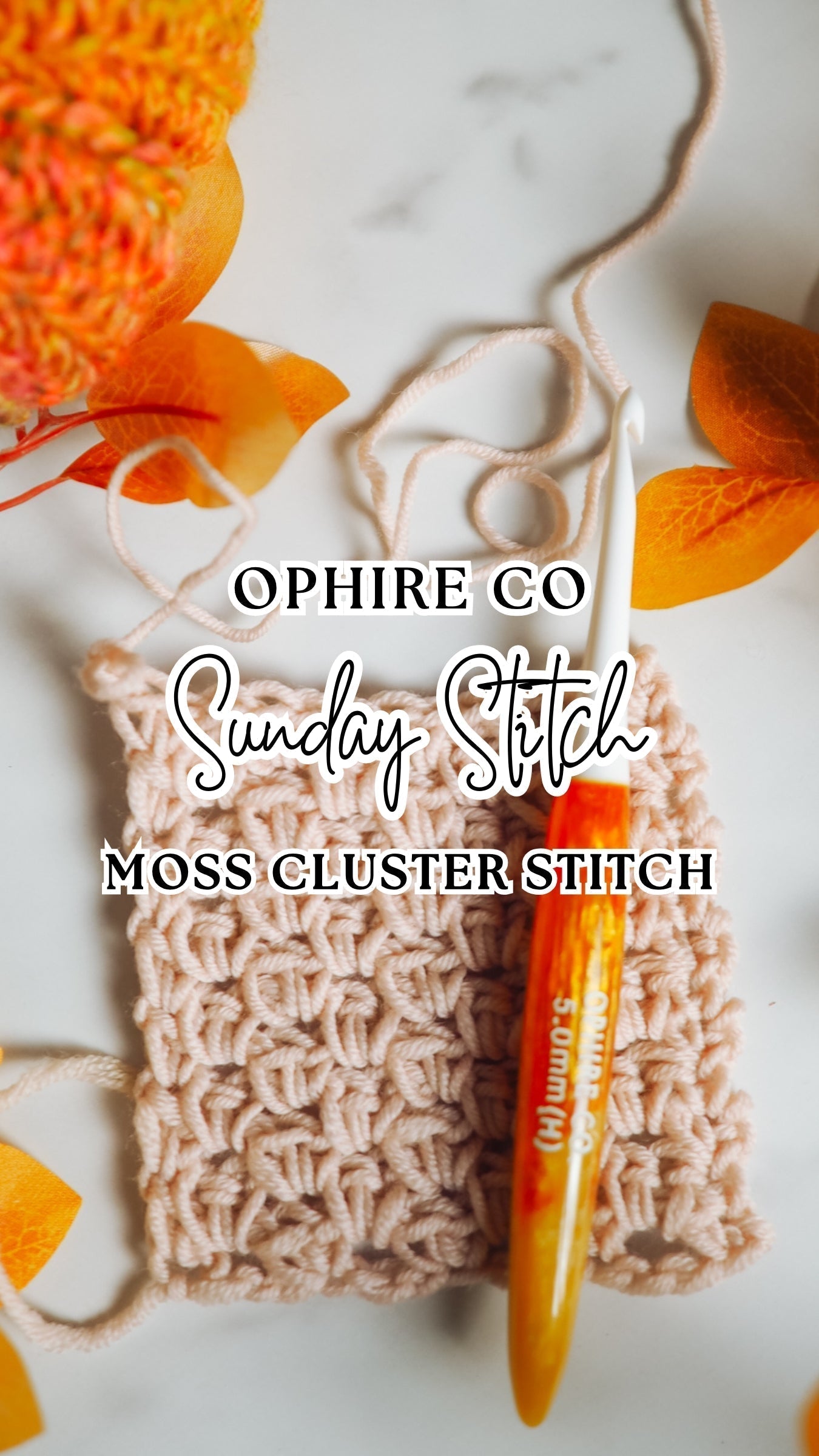 Moss Cluster Stitch Pattern