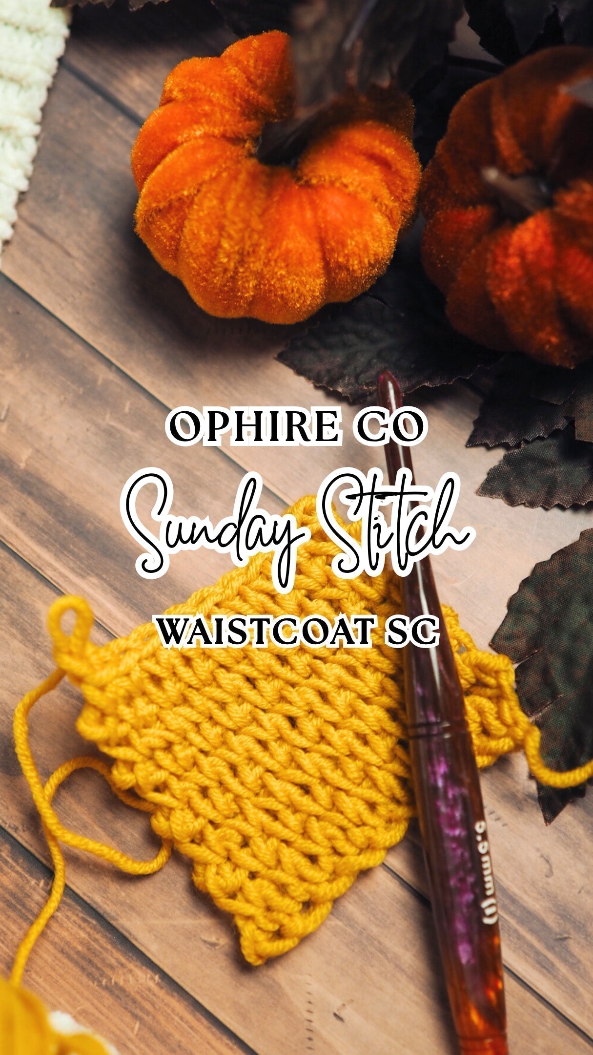 Waistcoat Single Crochet Pattern