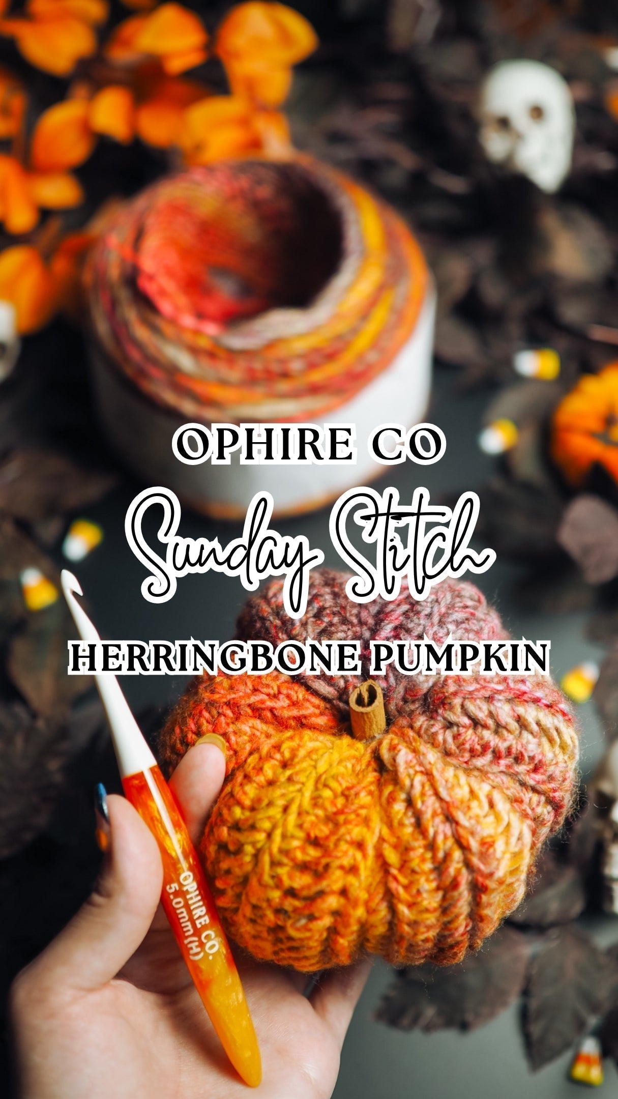 Herringbone Crochet Pumpkin Pattern